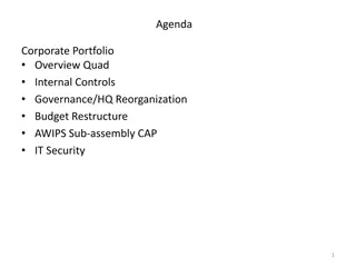 Corporate Portfolio Overview and Internal Controls Governance Details
