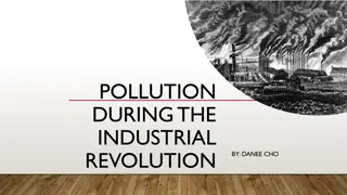 Impact of Pollution During the Industrial Revolution