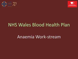 Anaemia in Wales: A Comprehensive Health Plan Work-stream