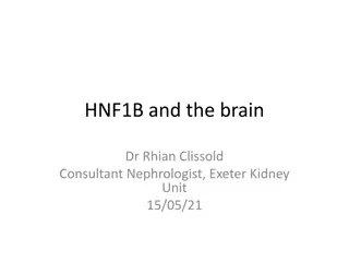 Neurodevelopmental Features in HNF1B Mutations