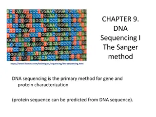 Overview of DNA Sequencing: Sanger Method Insights
