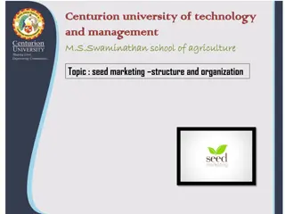 Seed Marketing Structure and Organization