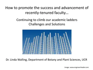 Strategies for Supporting Recently Tenured Faculty Advancement