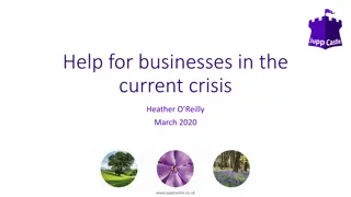 Business Support and Government Advice During Crisis
