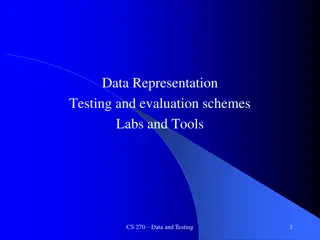 Exploring Data Representation and Normalization Techniques