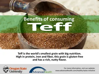 Big Nutrition Benefits of Teff Grain: Iron, Protein, and More