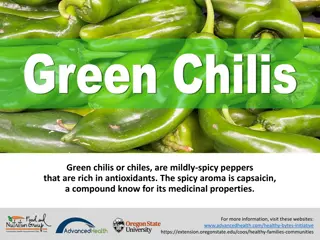 Green Chilis: Antioxidant-Rich and Spicy Superfood Benefits