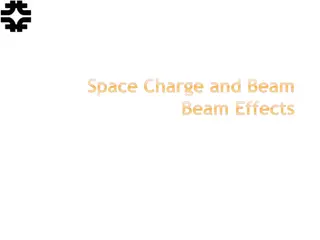 Space Charge and Beam Beam Effects in Accelerators