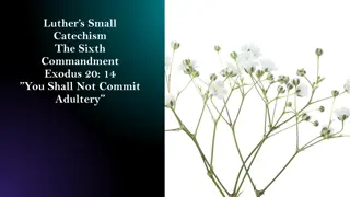 Luther's Small Catechism: The Sixth Commandment and Marriage