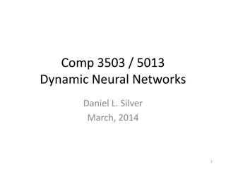 Dynamic Neural Networks and Hopfield Network Concepts
