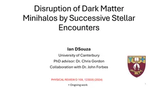 Disruption of Dark Matter Minihalos by Stellar Encounters Research
