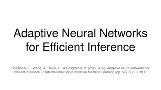 Efficient Inference with Adaptive Neural Networks