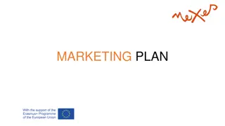 Marketing Strategy and Plan for Business Success