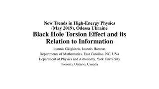 High Energy Physics Insights: Black Hole Torsion & Geometrization Conjecture