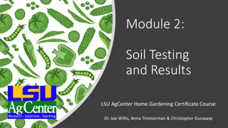 Importance of Soil Testing for Healthy Plant Growth