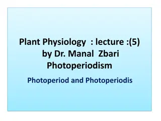 Photoperiodism in Plants: Impact on Flowering and Growth