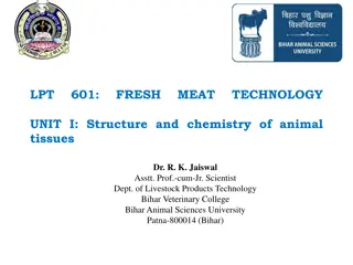 Exploring Animal Tissue Structure and Meat Science