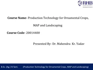 Production Technology for Ornamental Crops and Landscaping Insights