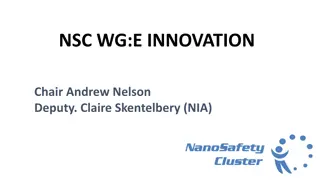 Innovations in Nanotechnology for Industry - NSC WG: E Innovation