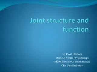Connective Tissues and Cell Types in the Human Body