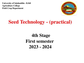 Seed Testing: History, International Association, and Importance