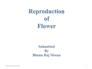 Evolution and Anatomy of Flowers