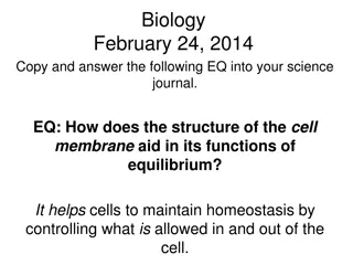 Cell Membrane Functions and Equilibrium: Understanding Tonicity and Osmosis