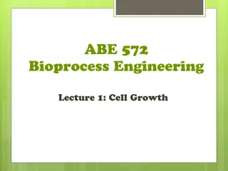 Phases of Cell Growth and Biomass Doubling Time