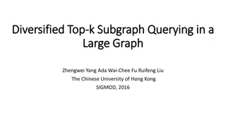 Diversified Top-k Subgraph Querying in Large Graphs - Problem Definition and Solutions
