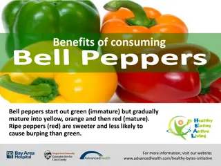 Discover the Health Benefits of Bell Peppers