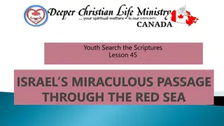 Lessons on Trusting God's Plan and Deliverance