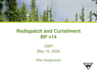 Redispatch and Curtailment BP v14