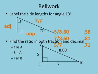 Trigonometry Problems with Angles, Distances, and Heights