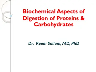 Biochemical Aspects of Protein and Carbohydrate Digestion by Dr. Reem Sallam, MD, PhD