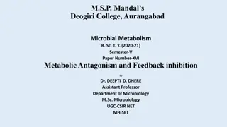 Metabolic Antagonism and Feedback Inhibition in Microbial Metabolism