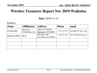 IEEE 802 Wireless Treasurer Report Nov 2019 Overview