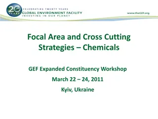 GEF Chemicals Management Strategies in Focal Areas
