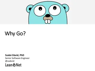 Exploring the Philosophy and Impact of the Go Programming Language