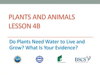 Do Plants Need Water to Live and Grow? Evidence and Experiments