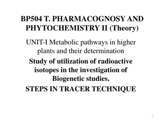 Radio Tracer Techniques in Plant Metabolic Pathways