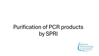 PCR Purification with SPRI Method