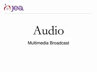 Audio Terms and Microphone Types for Broadcast and Multimedia