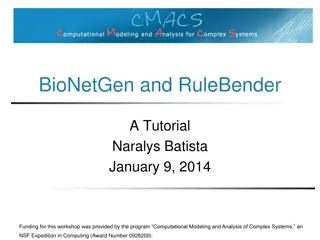 BioNetGen and RuleBender Tutorial Overview