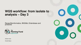 Recap of WGS Workflow: Isolate to Analysis Day 3 Bioinformatics