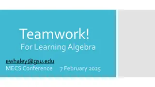 Effective Strategies for Collaborative Learning in College Algebra