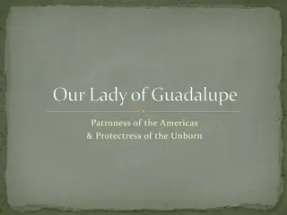 Our Lady of Guadalupe - Patroness of the Americas and Protectress of the Unborn