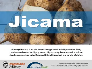 Discover the Nutritional Benefits of Jicama - A Latin American Superfood