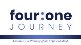 The Brain and Mind: Primary Parts, Functions, and Biblical References
