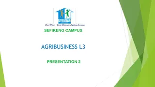 Marketing Systems in Agribusiness