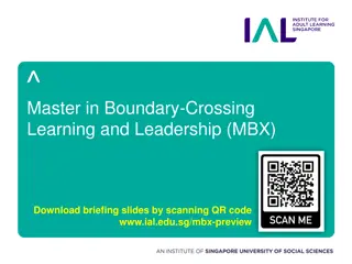 Boundary-Crossing Learning and Leadership Programme Overview